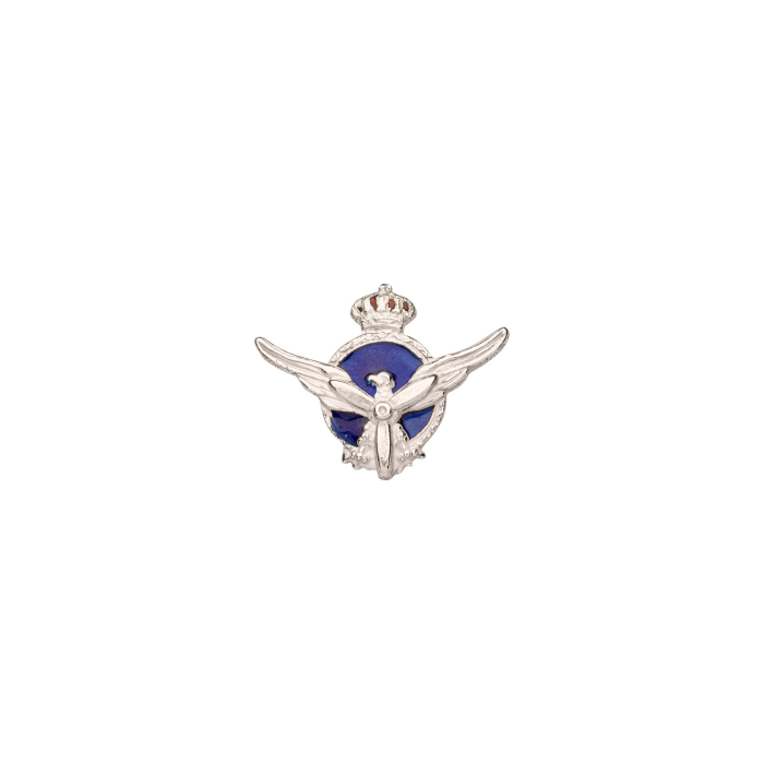 Private Pilot Pin Model 1 Pins  BuckerBook €13.00 