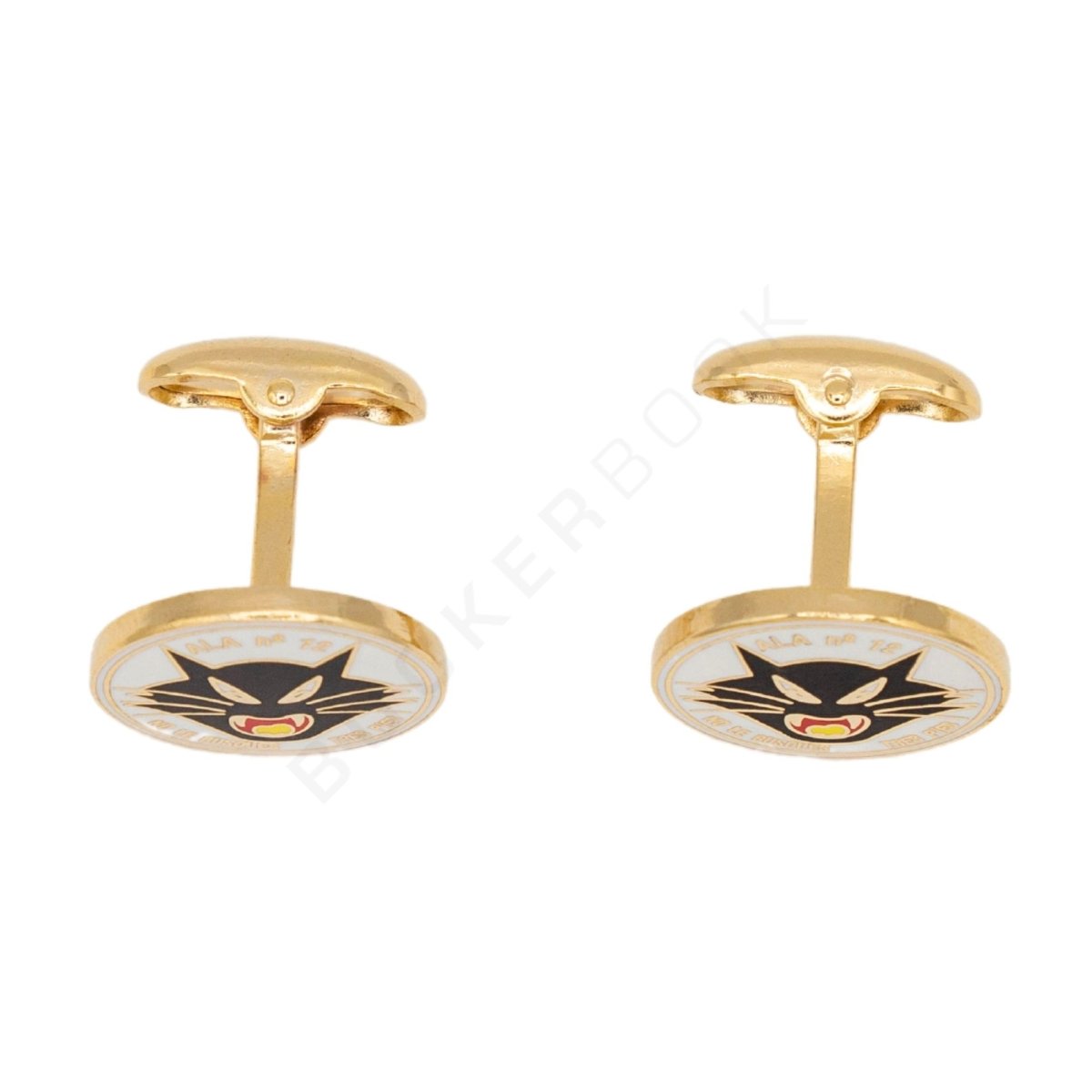 Gemelos Dorados ALA12 Gemelos Aviación  BuckerBook 17,00 € 