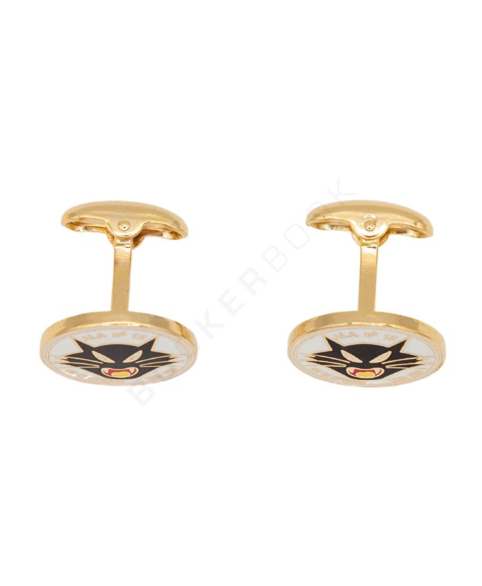 Gemelos Dorados ALA12 Gemelos Aviación  BuckerBook 17,00 € 