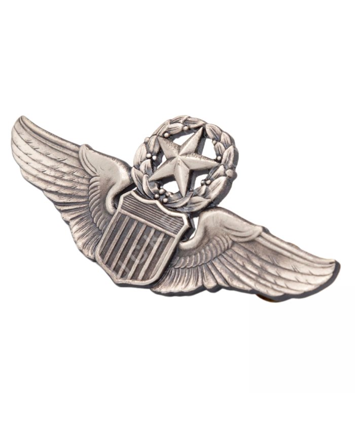 Insignia de Piloto Comandante de la USAF WWII Insignias  BuckerBook 25,00 € 