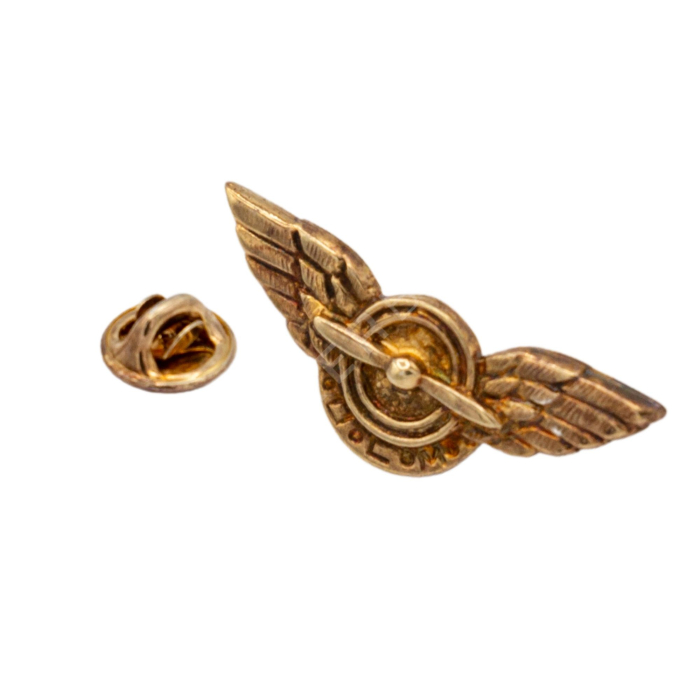 Pin ULM Dorado Pines Aviación  BuckerBook 10,00 € 