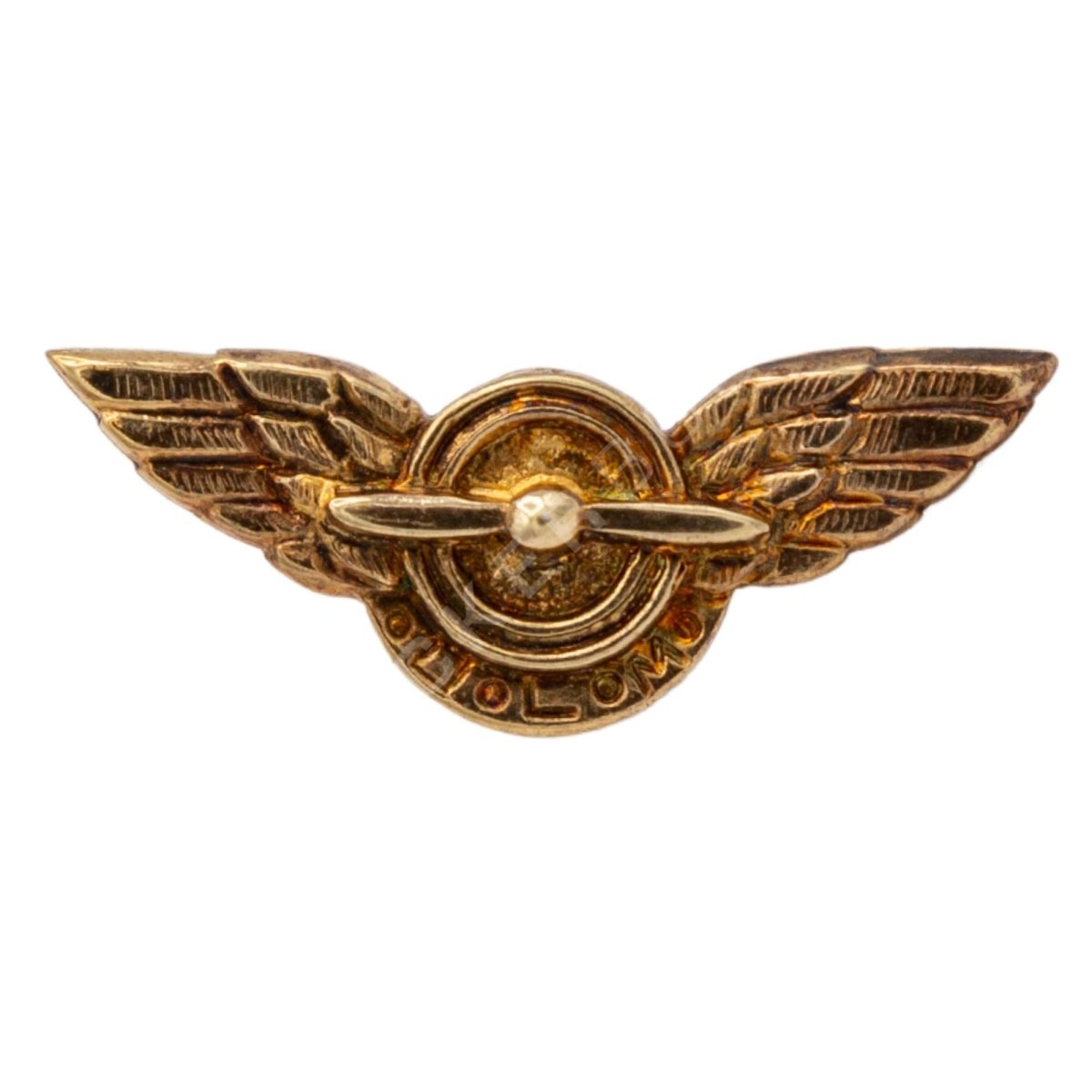 Pin ULM Dorado Pines Aviación  BuckerBook 24,95 € 