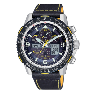 Citizen Blue Angels Watch