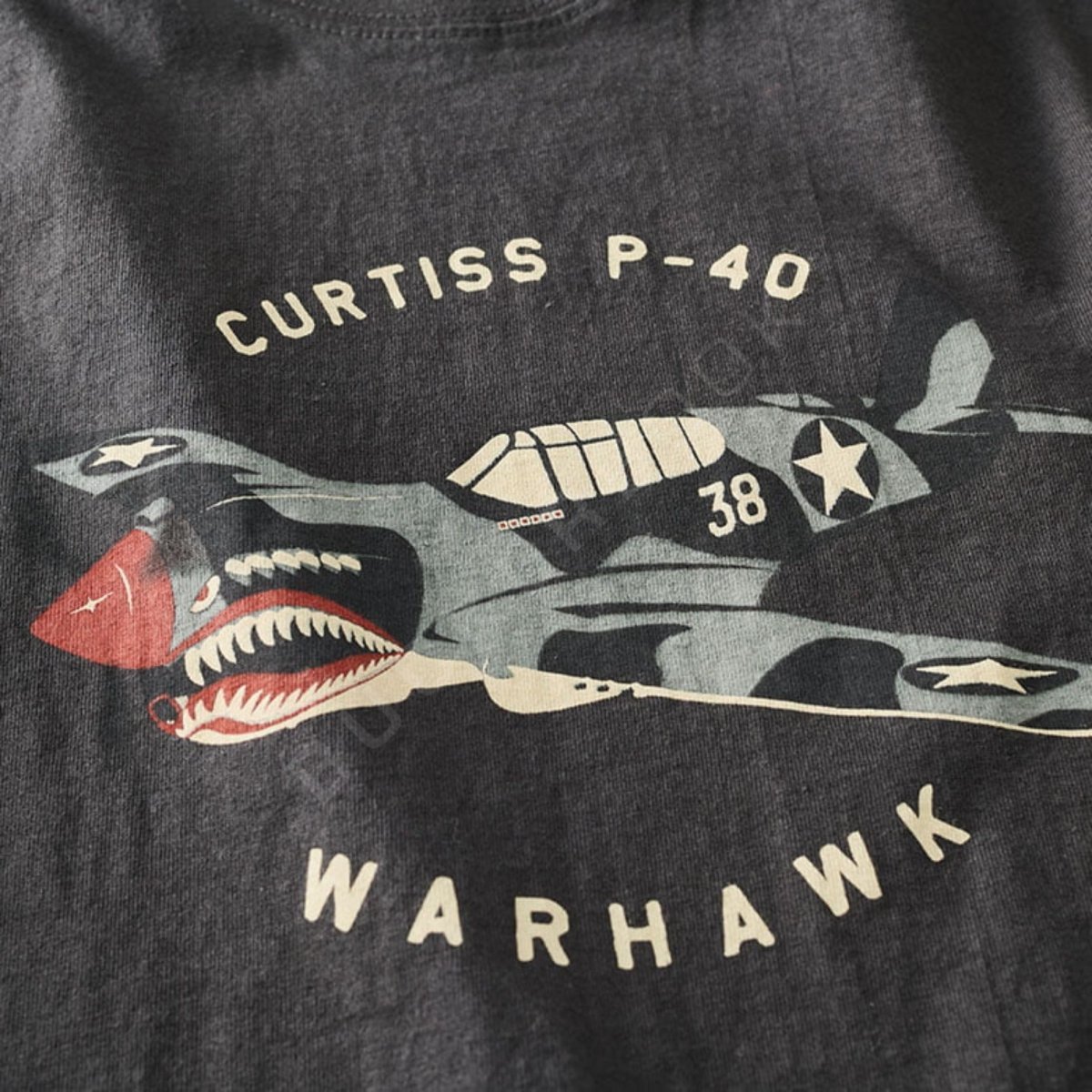 Camiseta Curtiss P-40 Warhawk Camisetas Aviación  BuckerBook 39,95 € RED CANOE