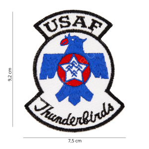 USAF Thunderbirds Patch