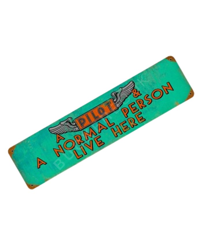 Cartel Decorativo Pilot Normal Person Carteles  BuckerBook 29,90 € 