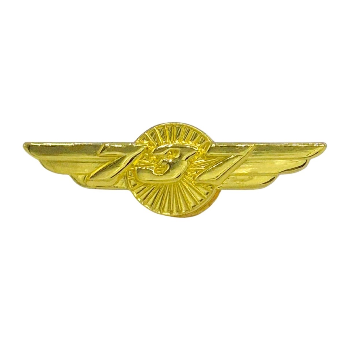 Pin Alas Boeing B737 Dorado Pines  BuckerBook 5,90 € 