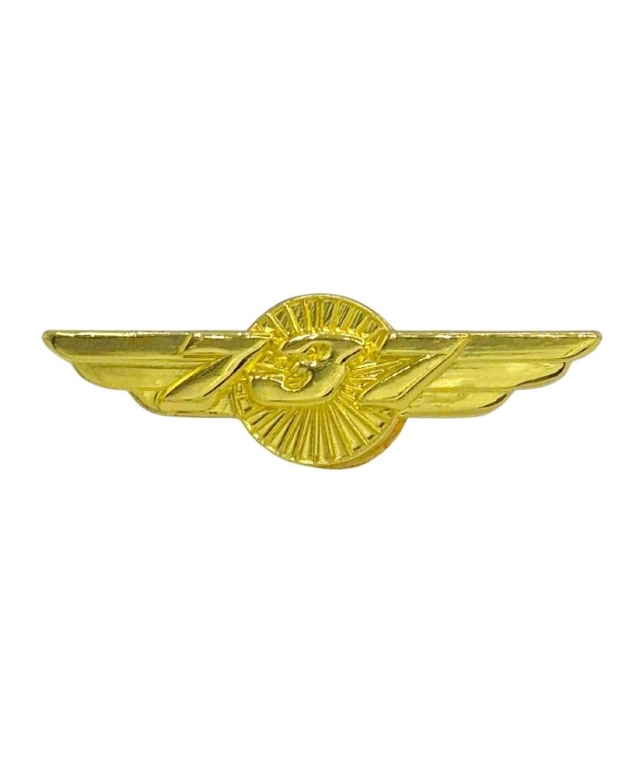 Pin Alas Boeing B737 Dorado Pines  BuckerBook 5,90 € 