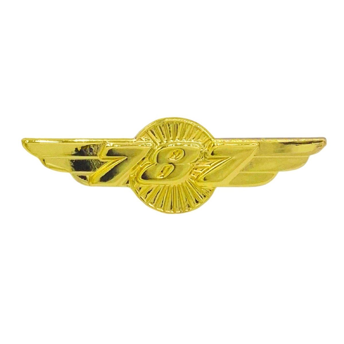 Pin Alas Boeing B787 Dorado