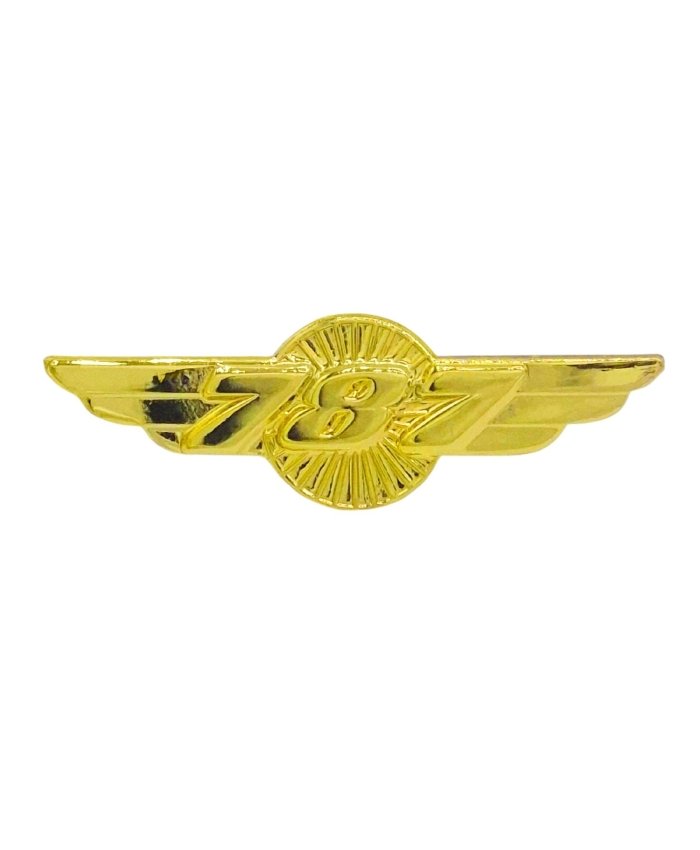 Pin Alas Boeing B787 Dorado