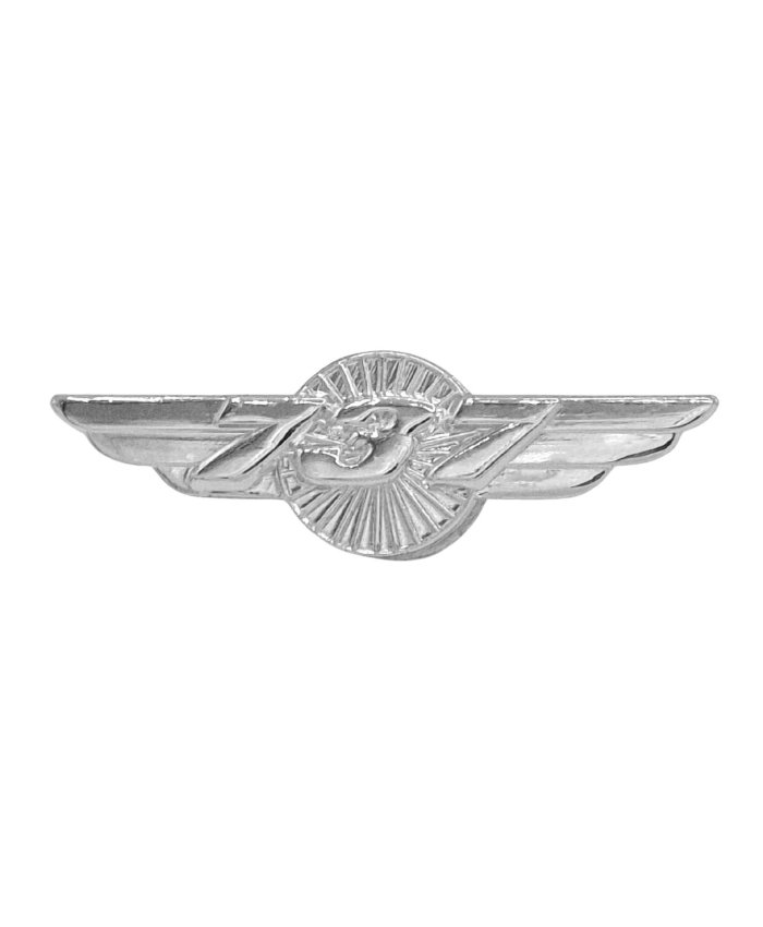 Pin Alas Boeing B737 Plateado