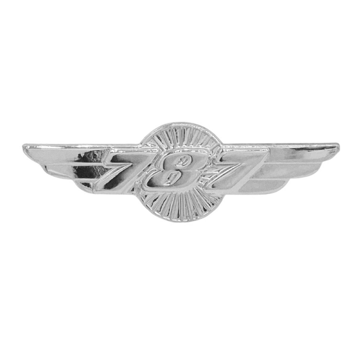 Pin Alas Boeing B787 Plateado Pines  BuckerBook 5,90 € 