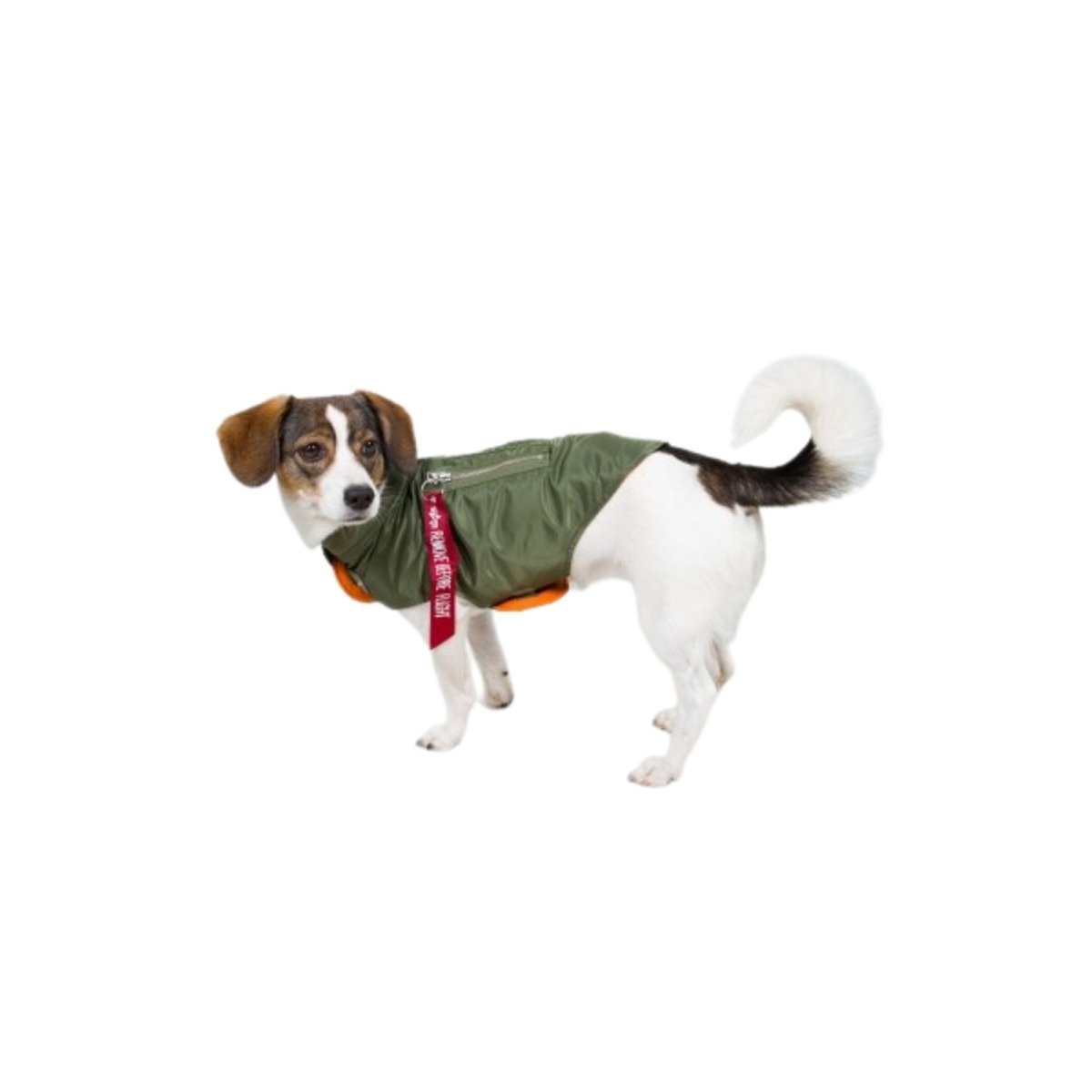 Cazadora Perro Alpha MA-1 Piloto 163901 Alpha Industries Cazadoras de Piloto Mascotas