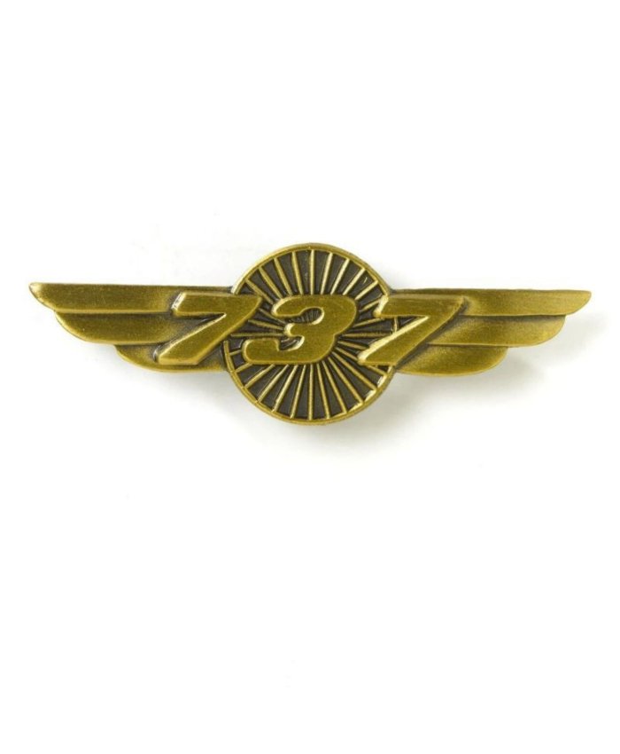 Pin Alas Boeing B737 580080020085 Boeing Pines