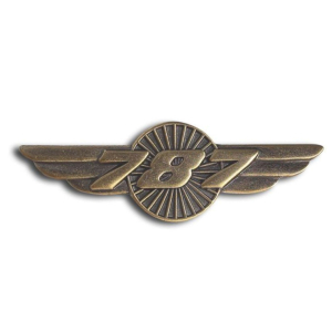 Pin Alas Boeing B787