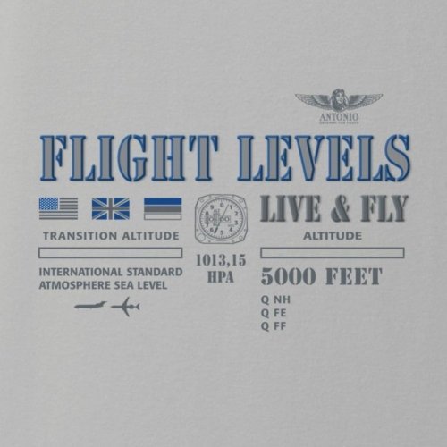 Camiseta Flight Levels CAM.HT A O F P Camisetas Aviación 2