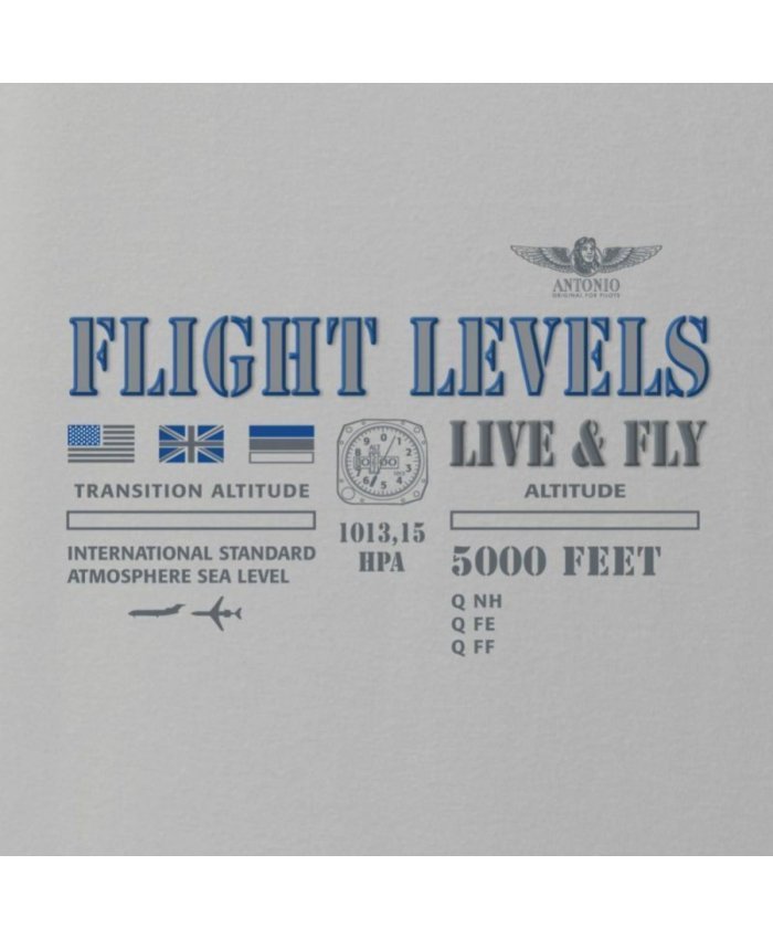 Camiseta Flight Levels CAM.HT A O F P Camisetas Aviación