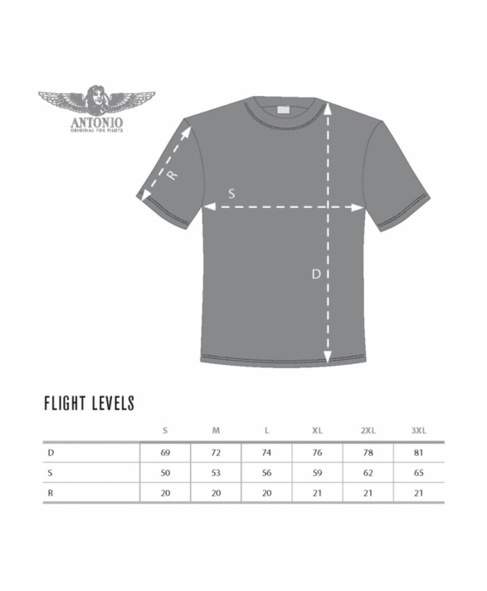 Camiseta Flight Levels CAM.HT A O F P Camisetas Aviación