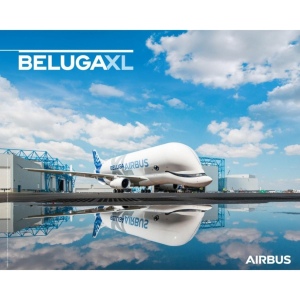 BELUGAXL Poster Ground View