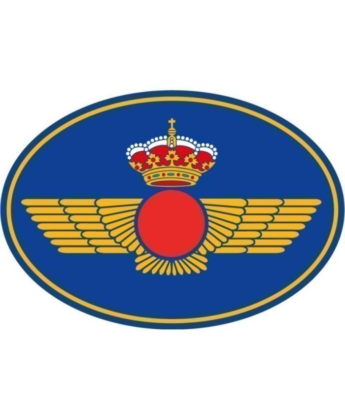 Pegatina Ovalada Ejercito del Aire EA110  Pegatinas Aviación