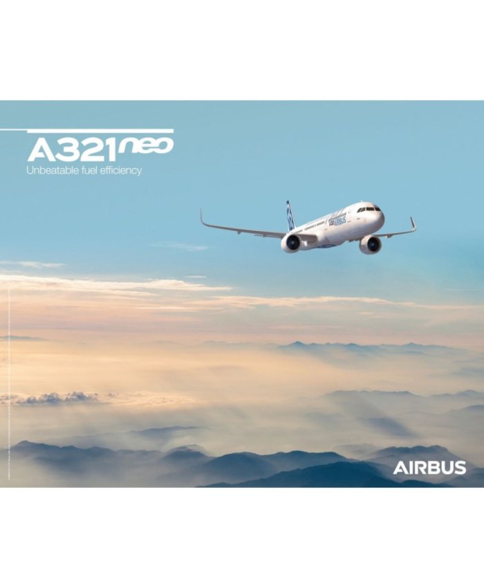 Poster Airbus A321neo Vista del Cielo A1AB017 Airbus Pósters de Aviones