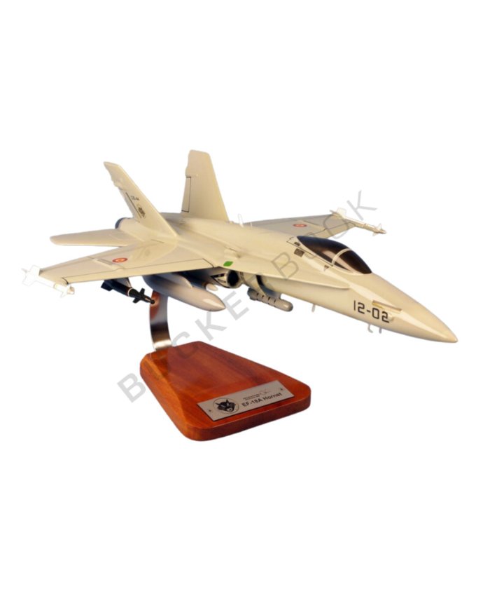 Maqueta EF-18A Hornet ALA 12 Ejército del Aire 1/40 VF227  Maquetas Aviación Militar