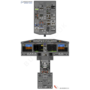 Poster Boeing B737 MAX Entrenamiento