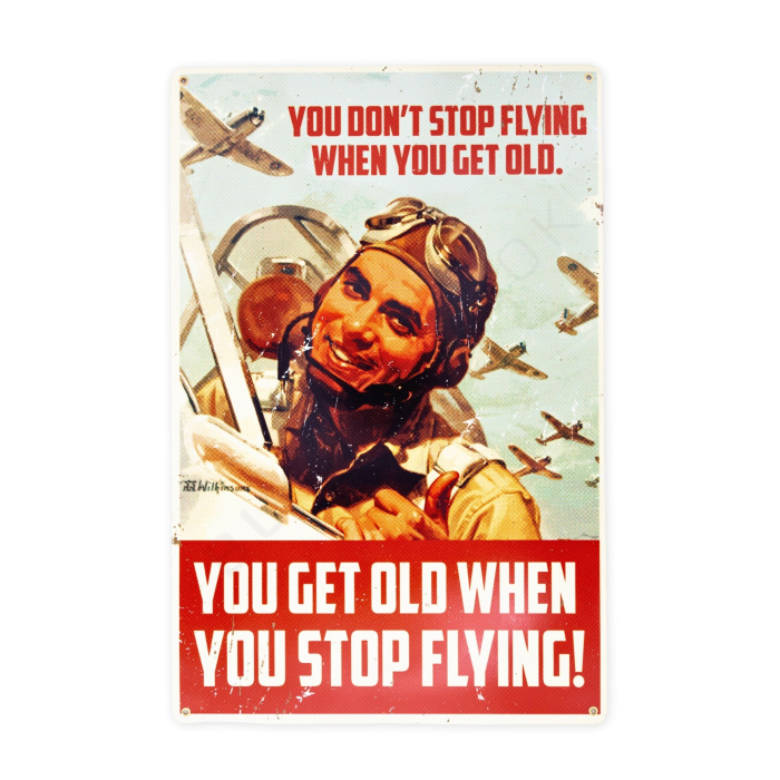 Stop Flying Old Decorative Sign Signs  BuckerBook €34.90 