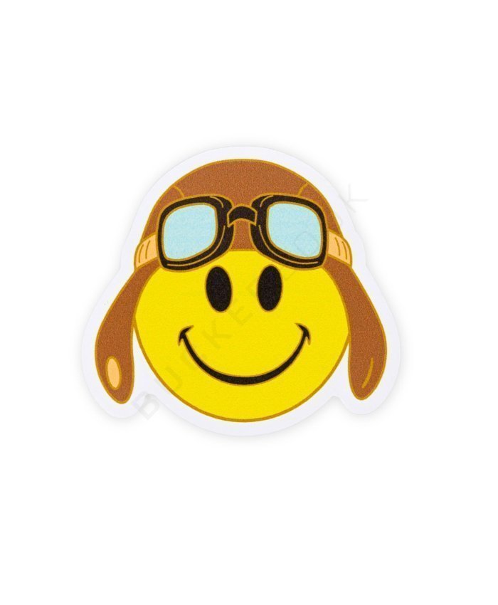 Pack 10 Stickers Vinilo CFI Pegatinas Aviación  BuckerBook 12,00 € 