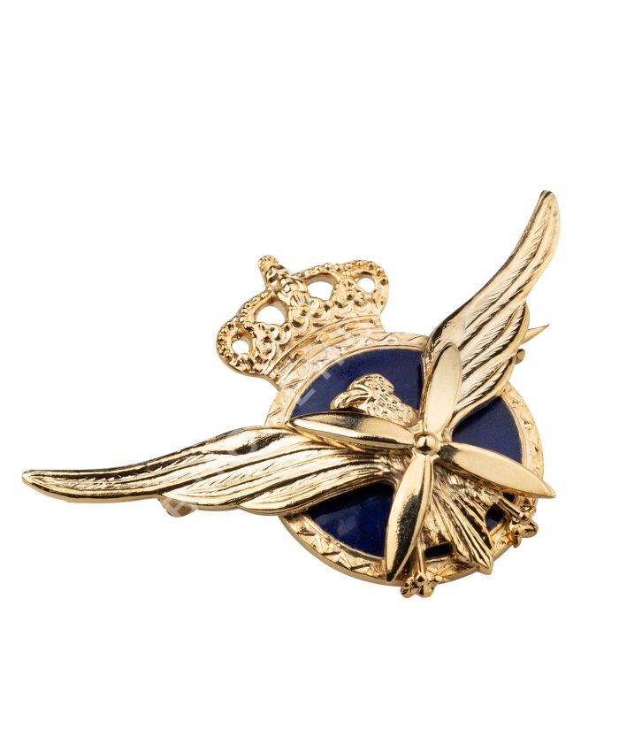 Insignia Piloto Comercial Helicóptero Insignias  BuckerBook 35,00 € BuckerBook Premium
