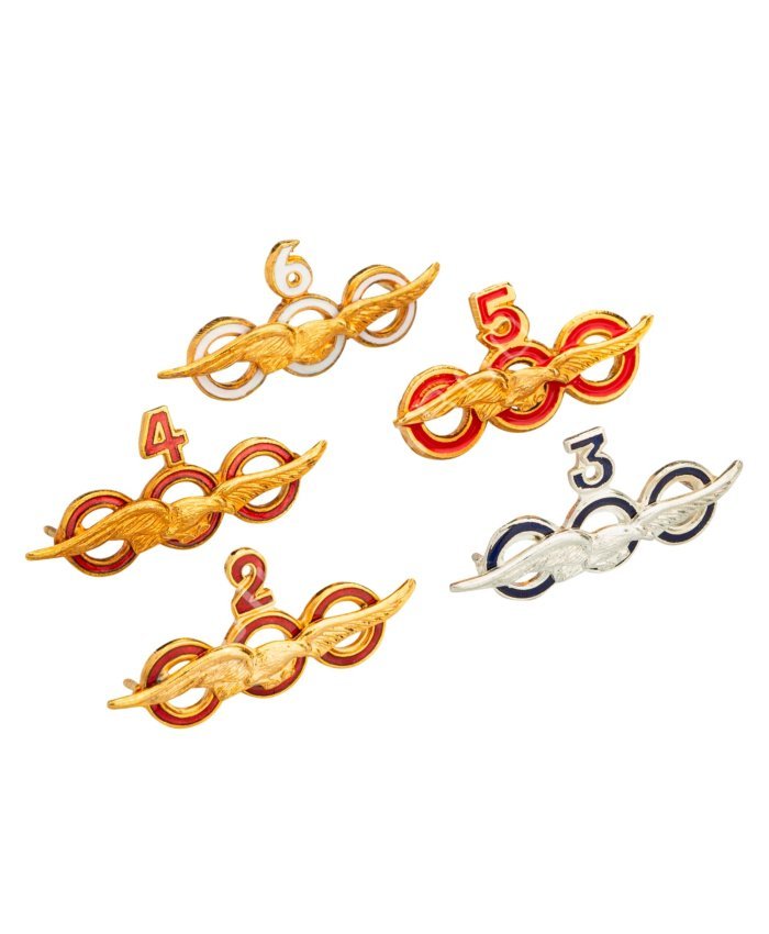 Insignia Horas de Vuelo Insignias Horas de Vuelo  BuckerBook 19,00 € BuckerBook Premium