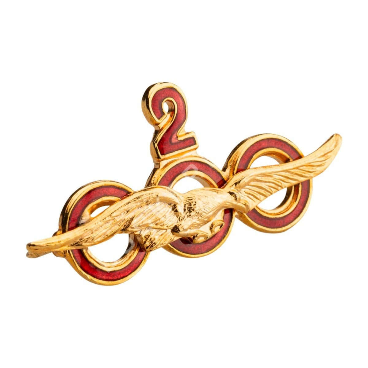 Insignia Horas de Vuelo Insignias Horas de Vuelo  BuckerBook 19,00 € BuckerBook Premium