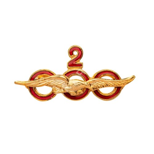Insignia de Horas de Vuelo | BuckerBook 2