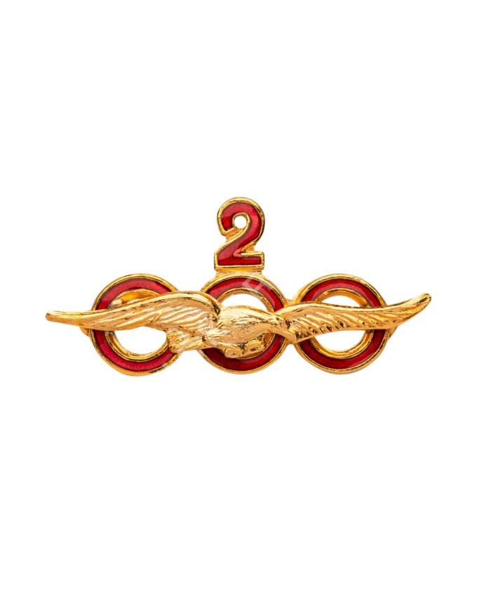 Insignia Horas de Vuelo Insignias Horas de Vuelo  BuckerBook 19,00 € BuckerBook Premium