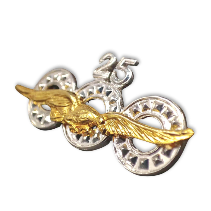 Silver Flight Hour Badge 1st Law Flight Hours Badges  BuckerBook €275.00 BuckerBook Premium