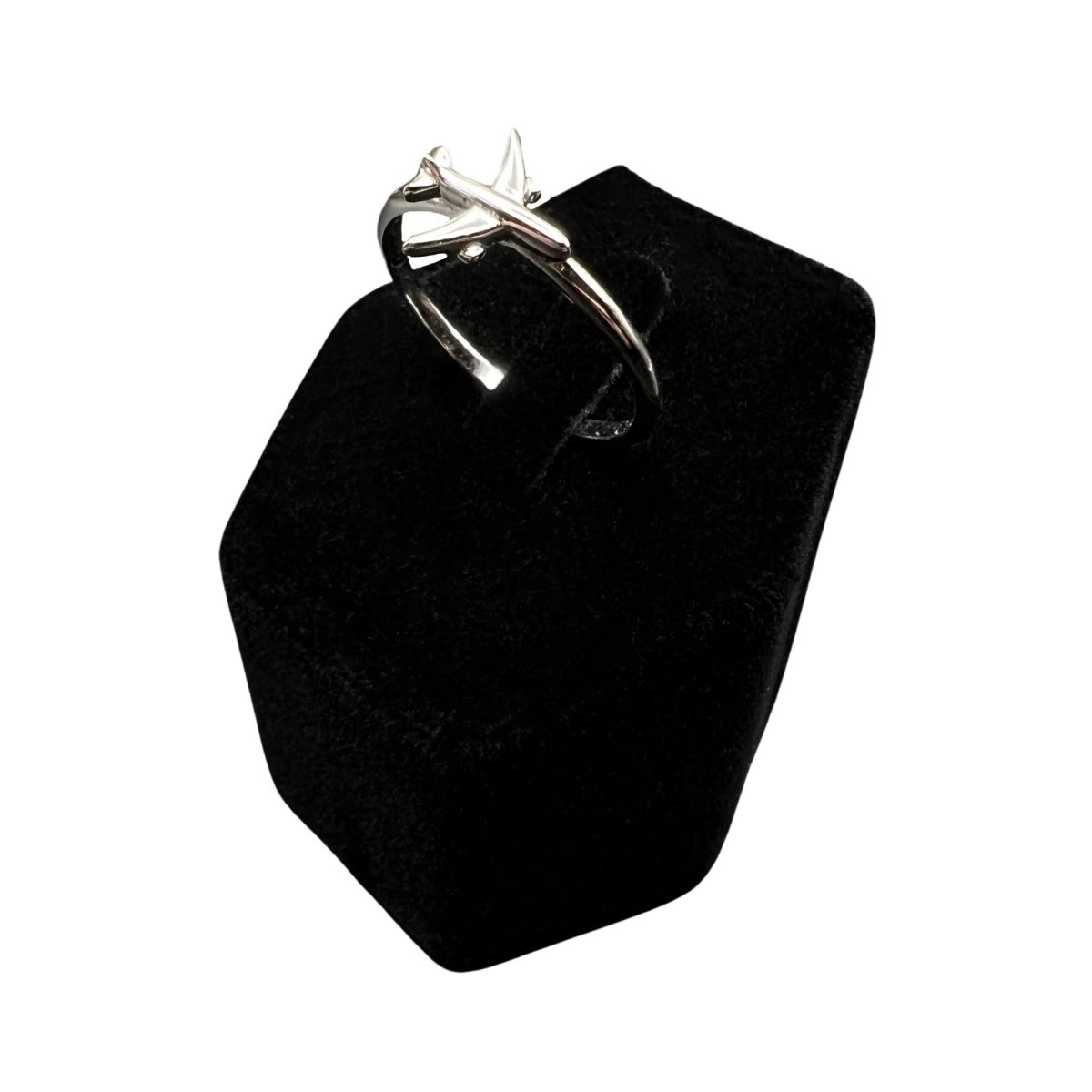 Anillo Avión Plata FLEVEL Colgantes y Pulseras Aviación  BuckerBook 47,95 € Flevel