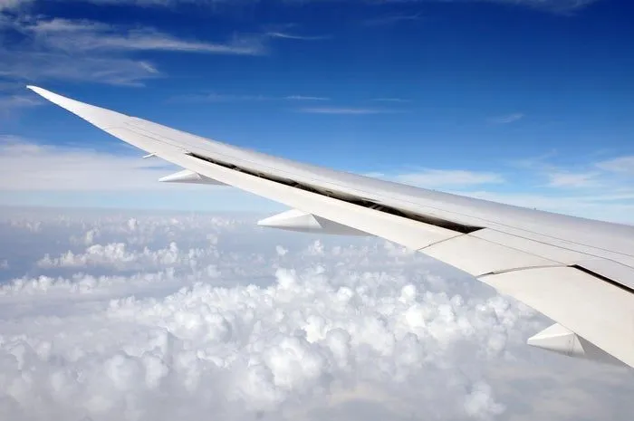 Winglet Boeing B787